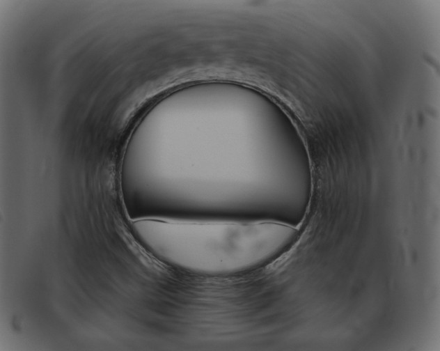 X0000093461499200710120939