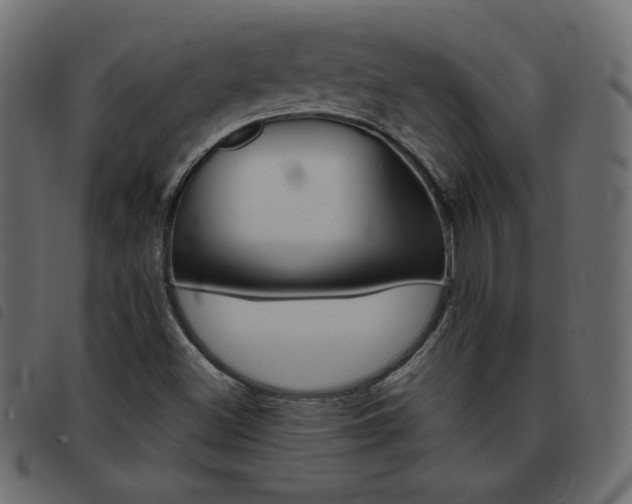 X0000093461500200710120939