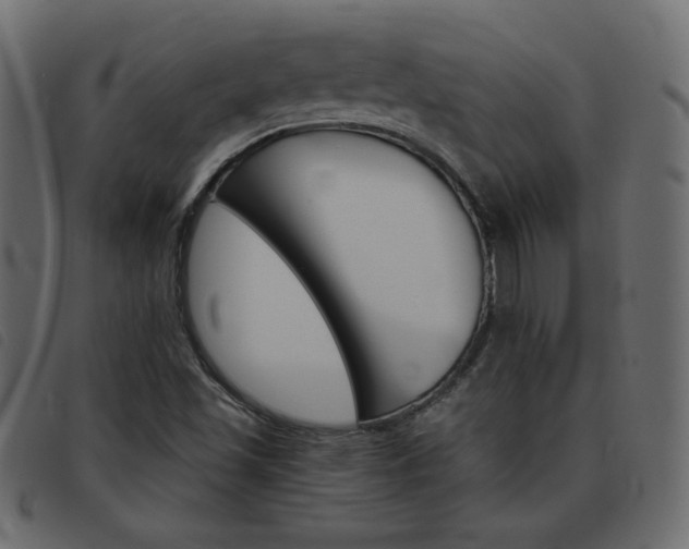 X0000093461501200710120939