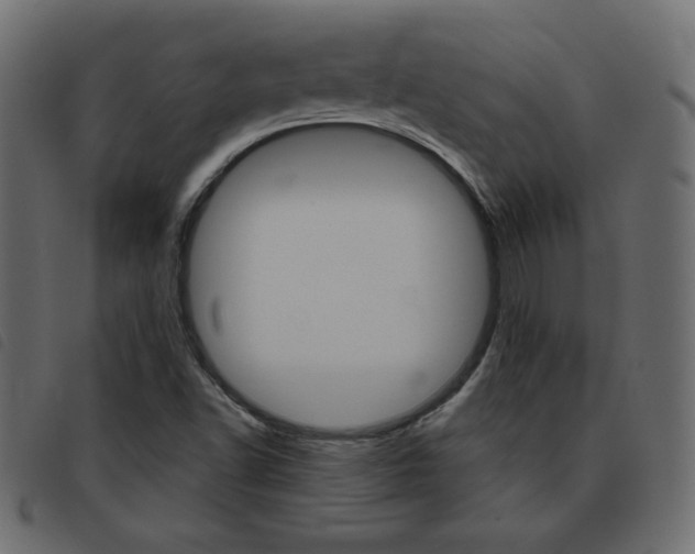 X0000093461502200710120939