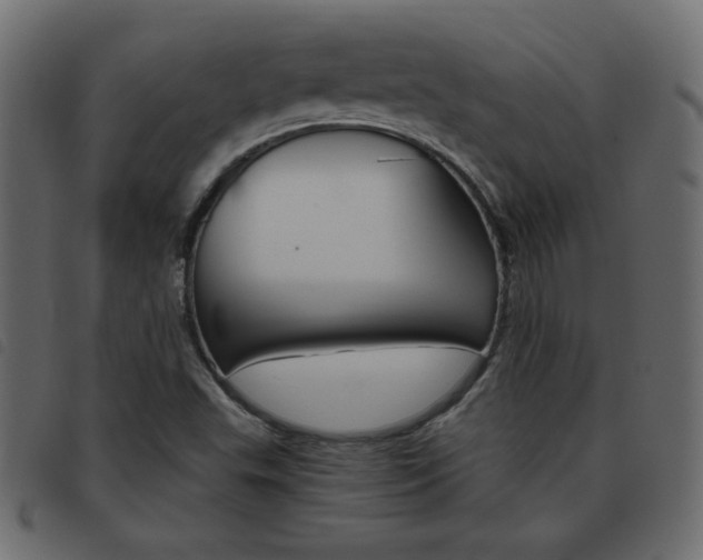 X0000093461503200710120939