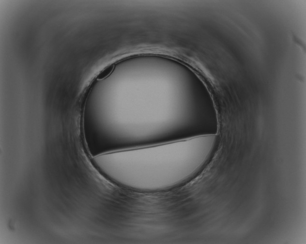X0000093461504200710120939