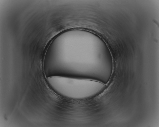 X0000093461505200710120939