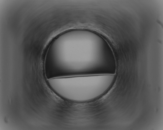 X0000093461506200710120939