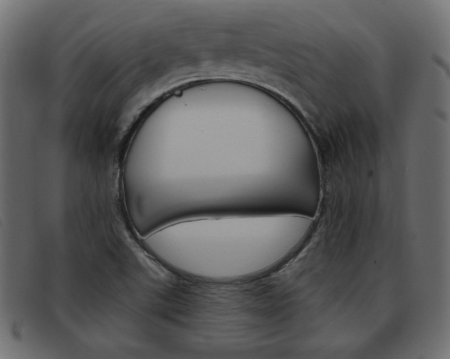 X0000093461507200710120939