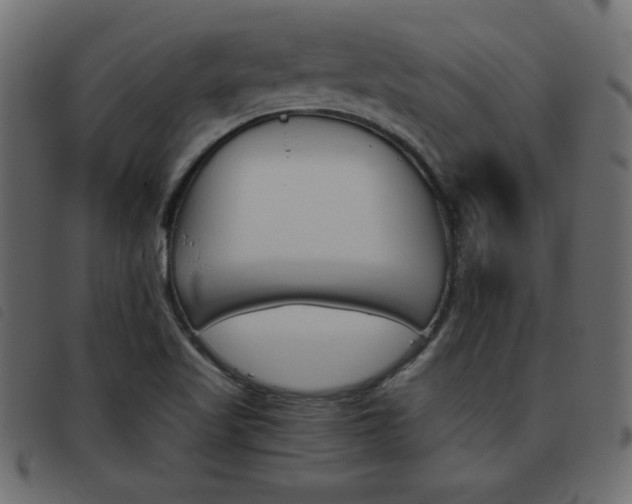 X0000093461509200710120939
