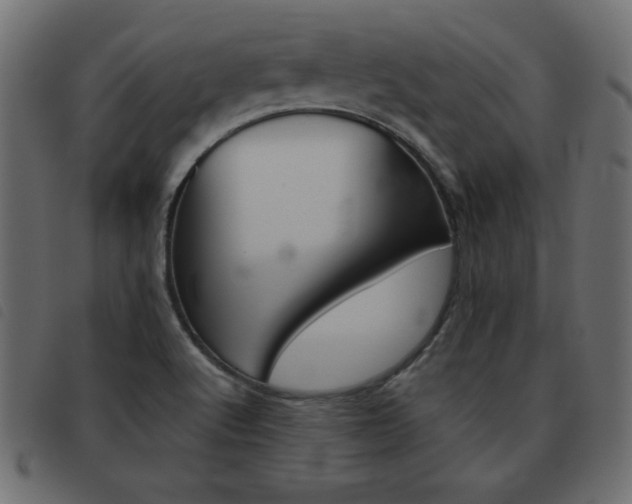 X0000093461512200710120939