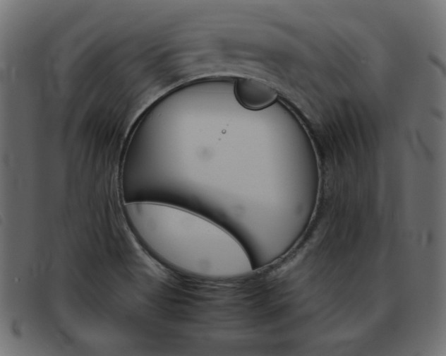 X0000093461513200710120939