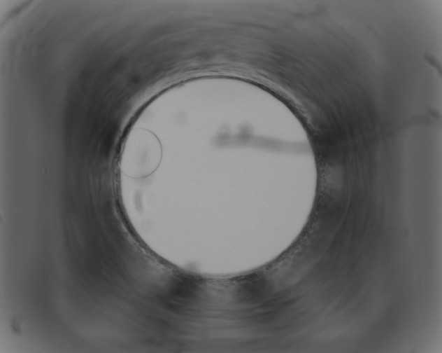 X0000093461514200710120939