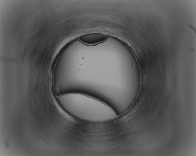 X0000093461515200710120939