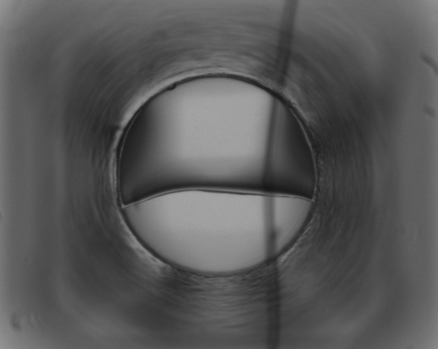 X0000093461516200710120939