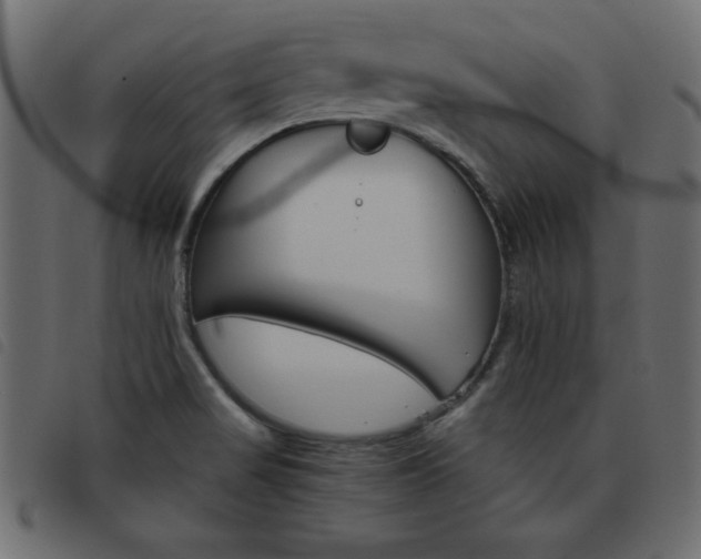X0000093461517200710120939