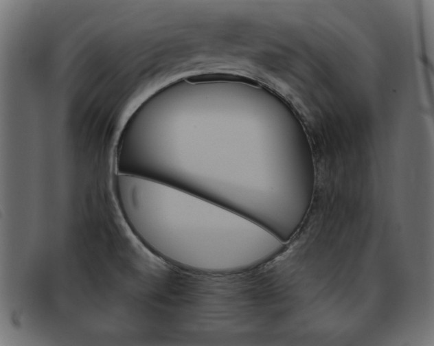 X0000093461520200710120939