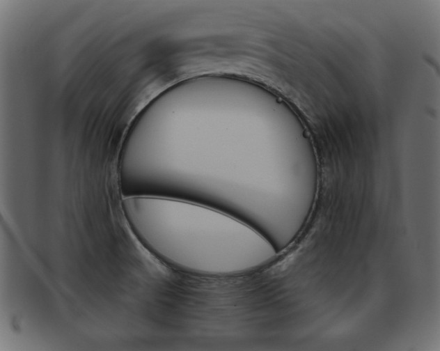 X0000093461521200710120939