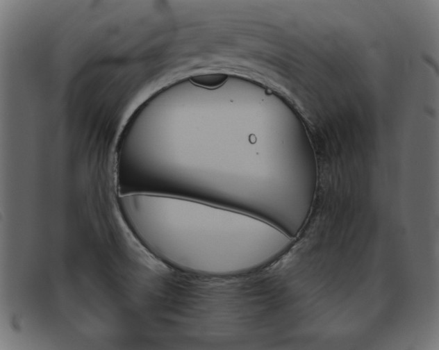 X0000093461522200710120939