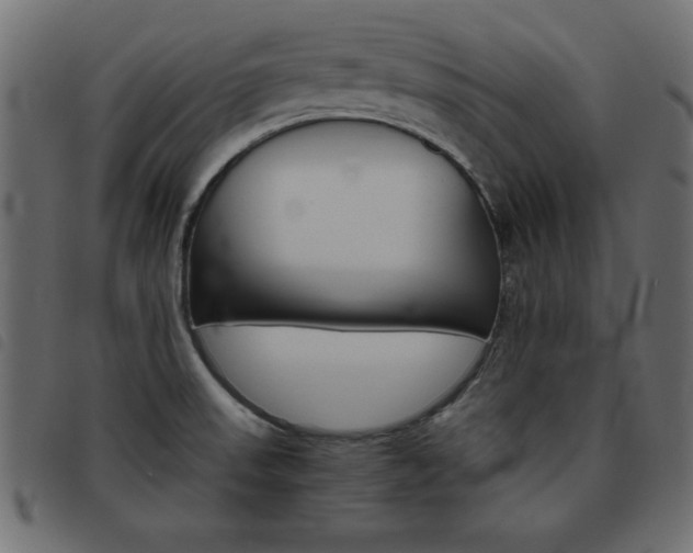 X0000093461523200710120939
