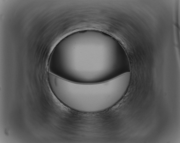 X0000093461524200710120939