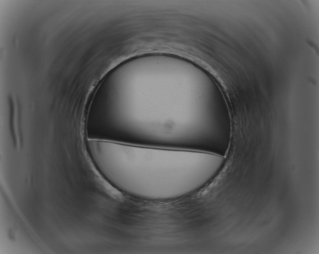 X0000093461525200710120939