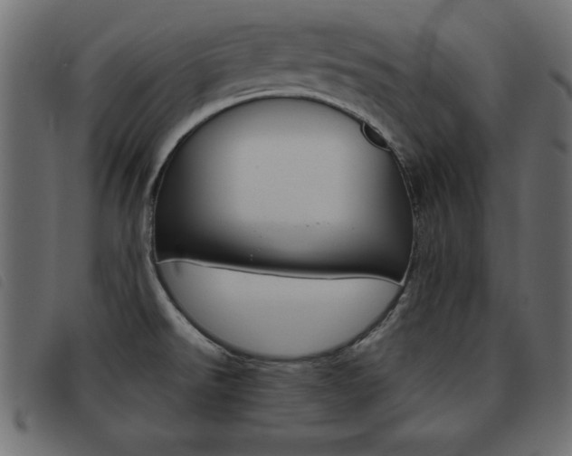 X0000093461526200710120939