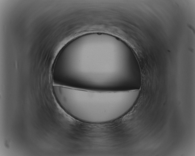 X0000093461527200710120939