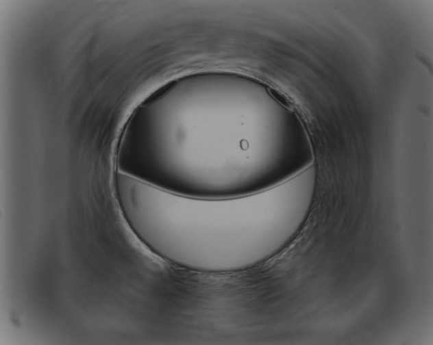 X0000093461528200710120939