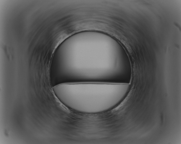 X0000093461529200710120939