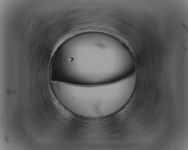 X0000093461530200710120939