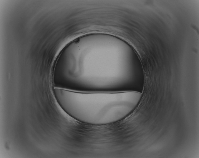 X0000093461531200710120939