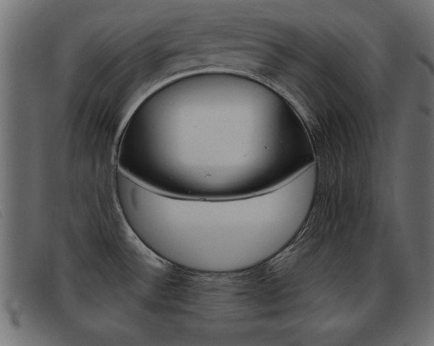 X0000093461532200710120939