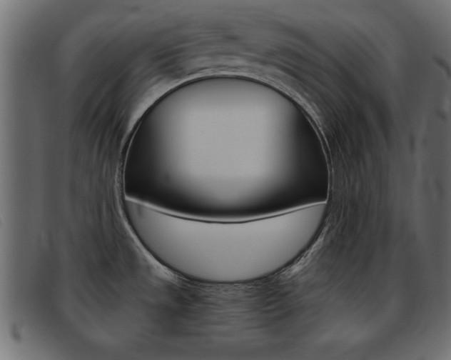 X0000093461533200710120939
