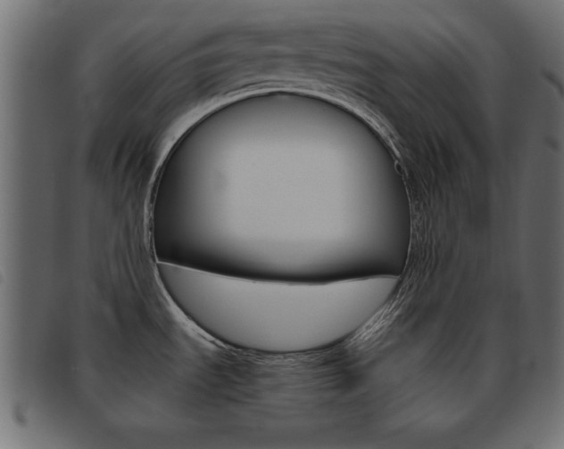 X0000093461535200710120939