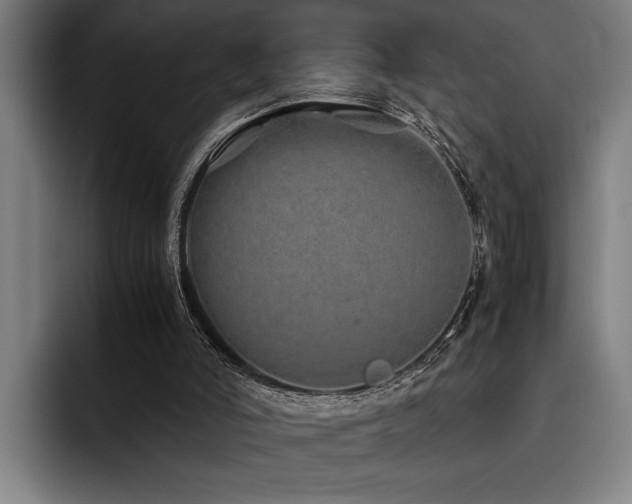 X0000093460006200710121415