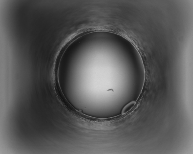 X0000093460008200710121415