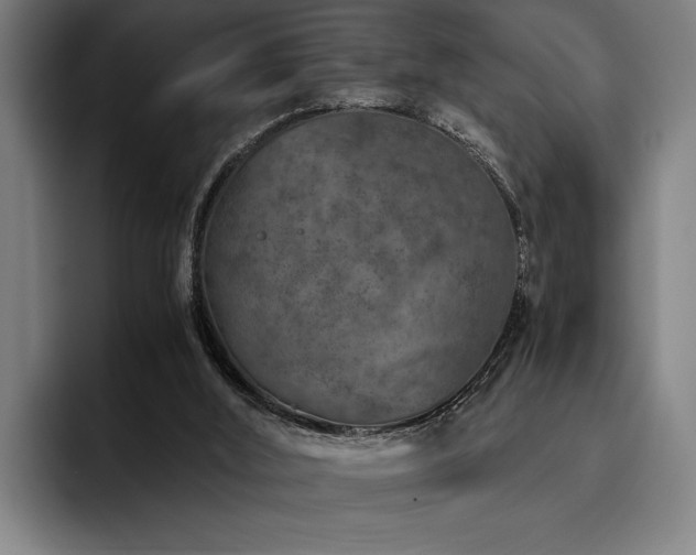 X0000093460012200710121415