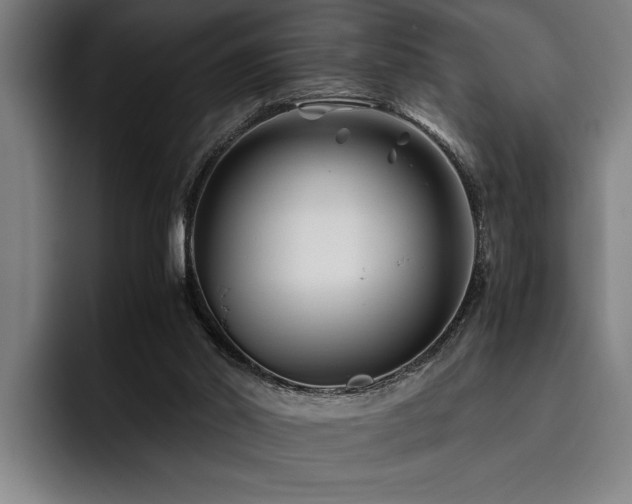 X0000093460014200710121415