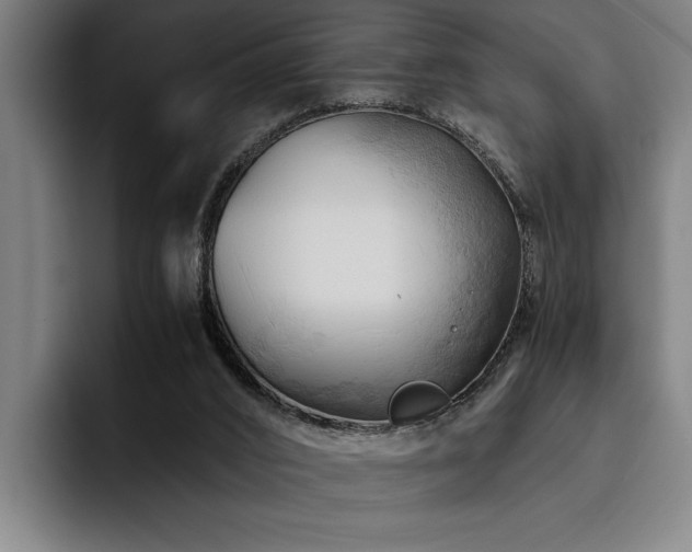 X0000093460016200710121415