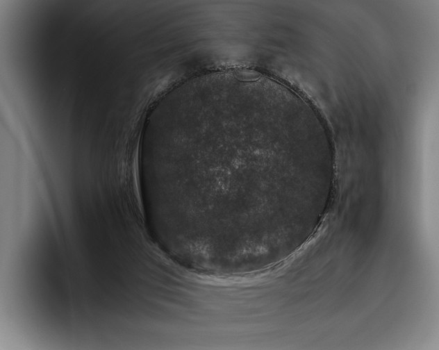 X0000093460017200710121415