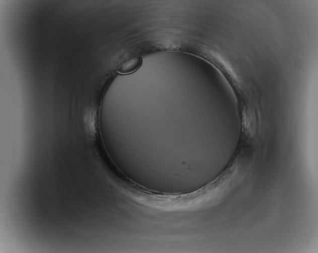 X0000093460023200710121415