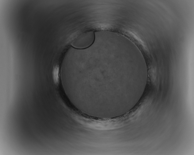 X0000093460024200710121415