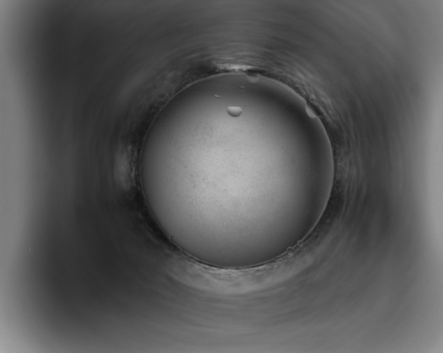 X0000093460030200710121415