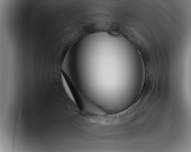 X0000093460033200710121415