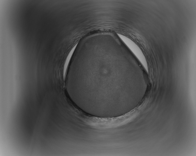 X0000093460037200710121415