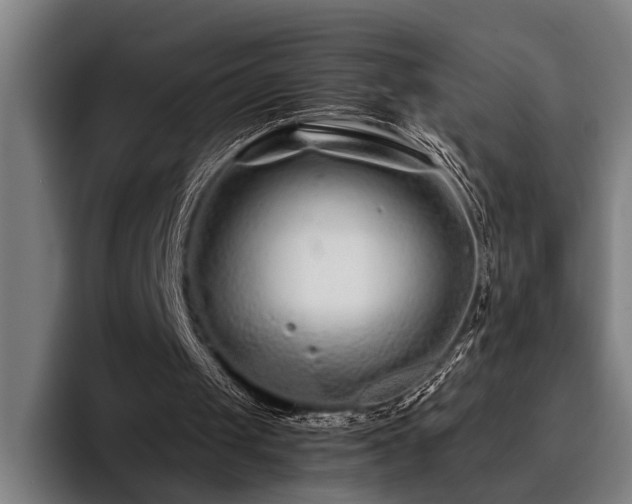 X0000093460049200710121414