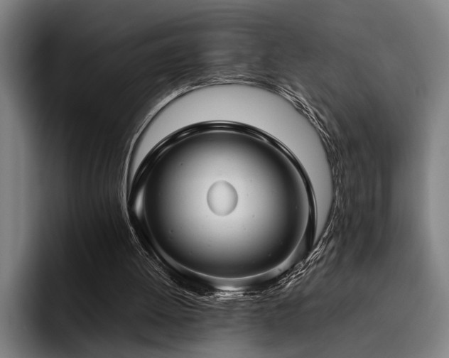 X0000093460052200710121414