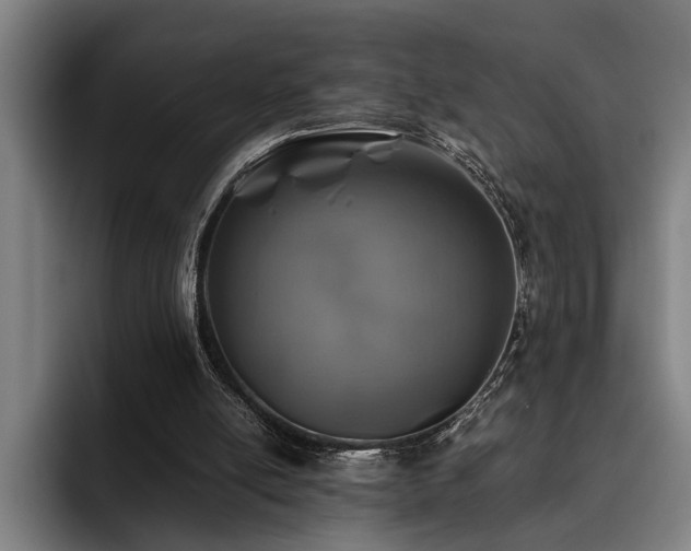 X0000093460054200710121414