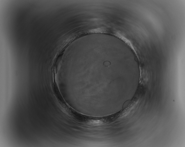 X0000093460061200710121414