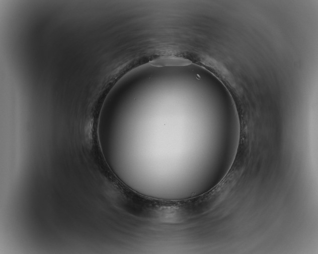 X0000093460066200710121414