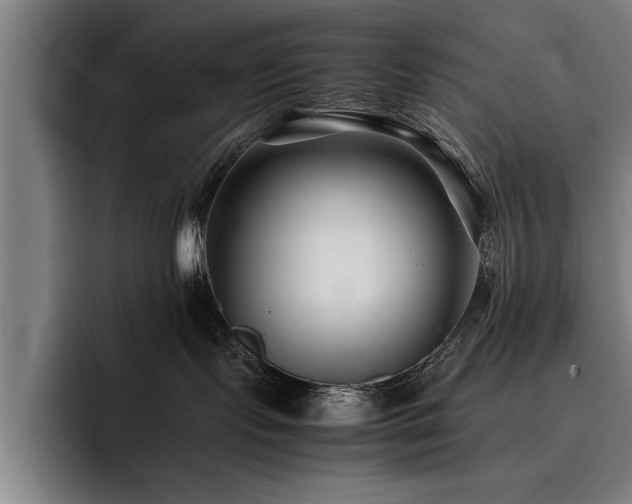 X0000093460095200710121414