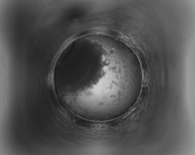 X0000093460099200710121414