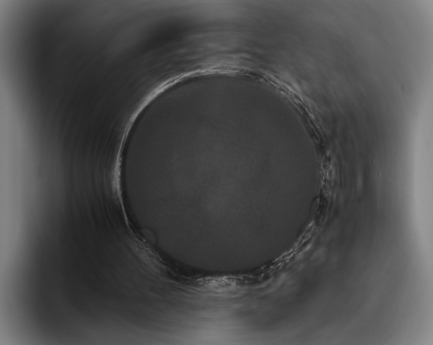 X0000093460100200710121414